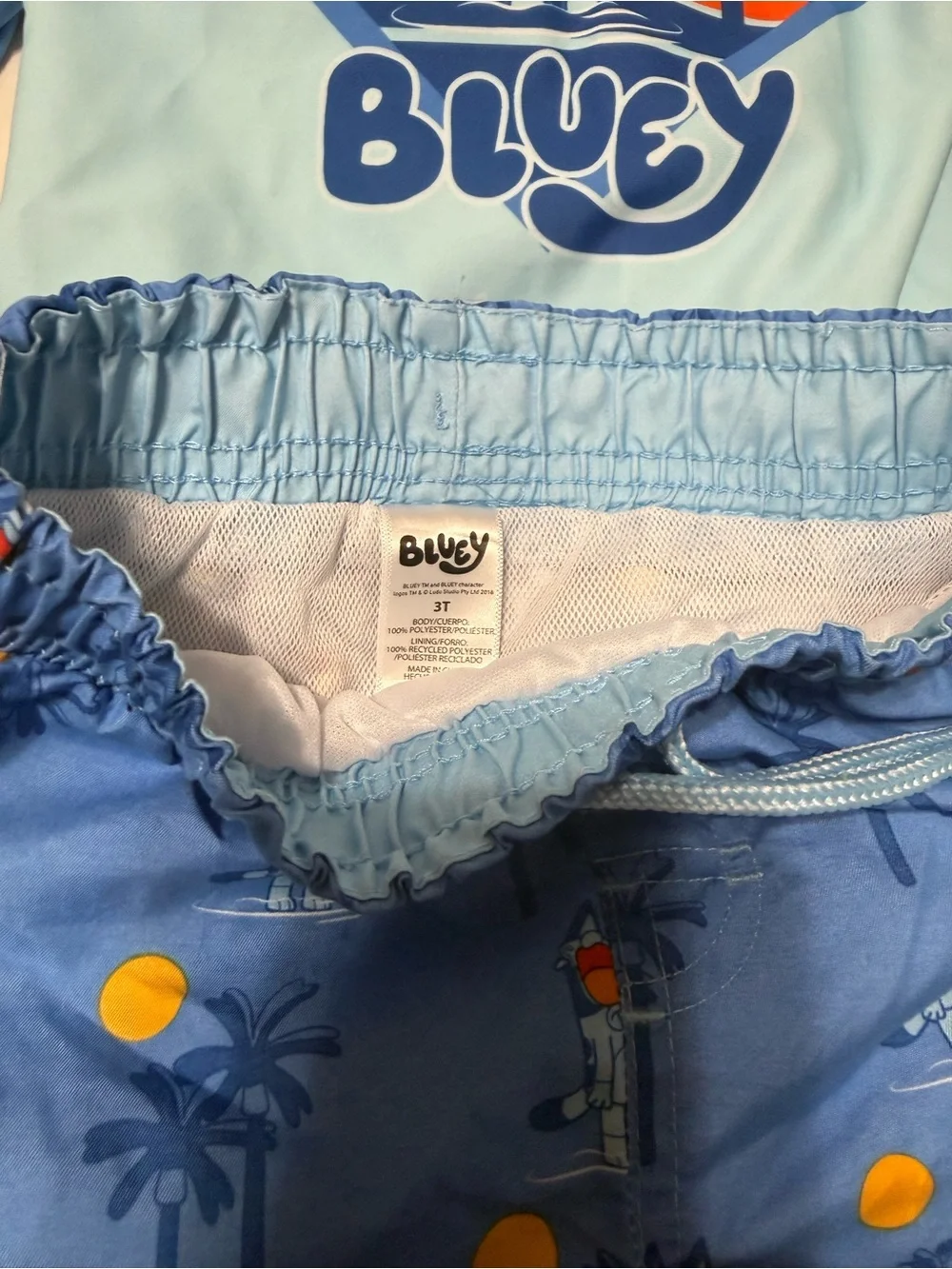 Bluey 3T  Boys swim trunks Rash Guard Set - Blue